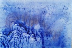 17 x 24 cm
