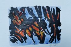 17 x 24 cm